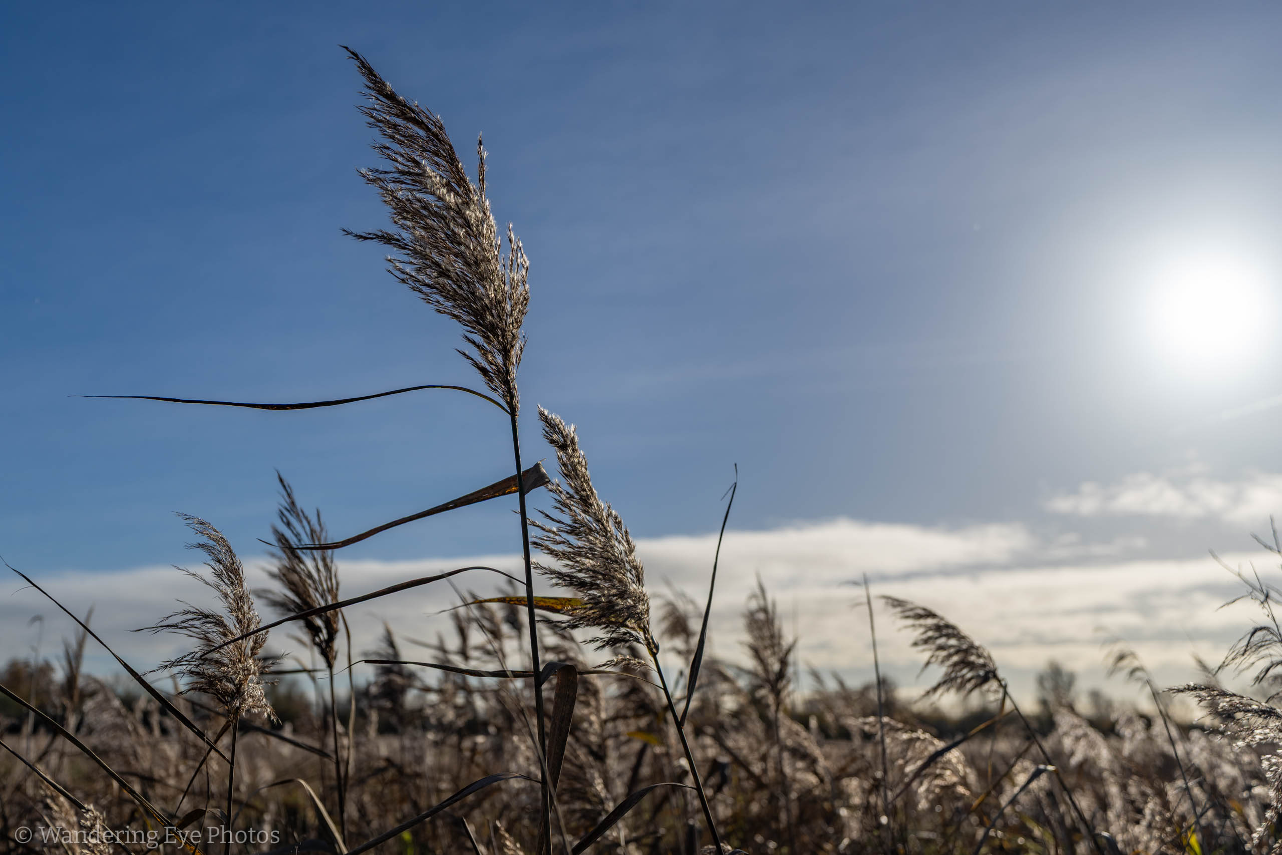 11.24 12.08.24   DSC01595